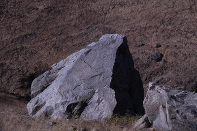 DSC_2168 (Large).JPG